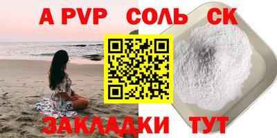стафф Камышлов