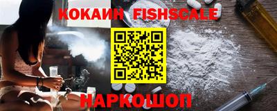стафф Камышлов