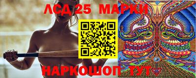 стафф Камышлов