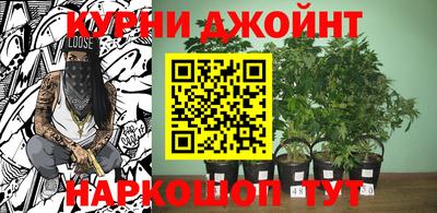 стафф Камышлов