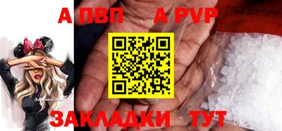 стафф Камышлов
