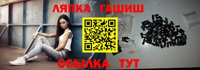 стафф Камышлов