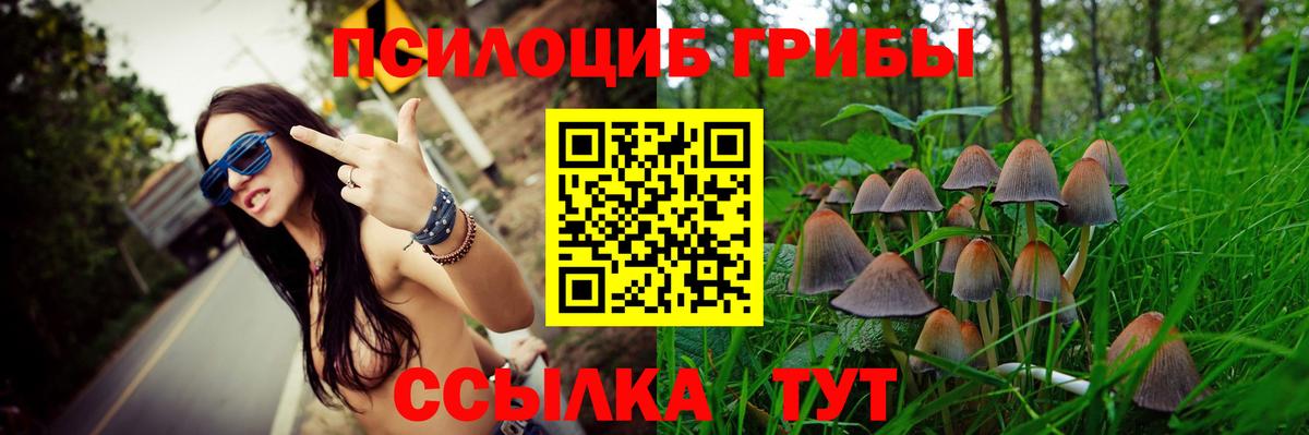 Галлюциногенные грибы Psilocybe  Вход с VPN  Лабытнанги 
