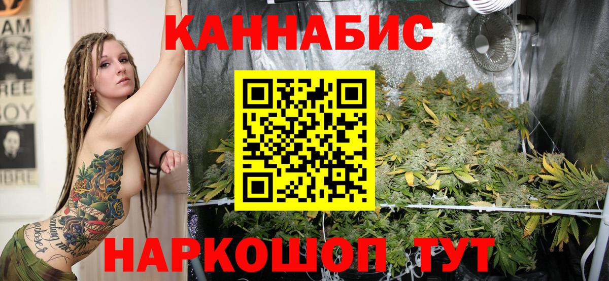 Каннабис White Widow Лабытнанги